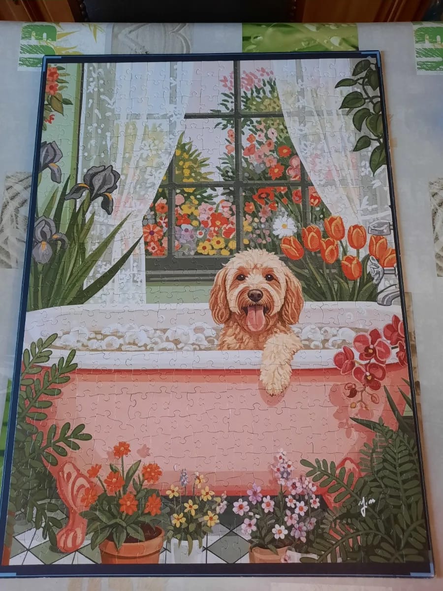 Randomisée cut