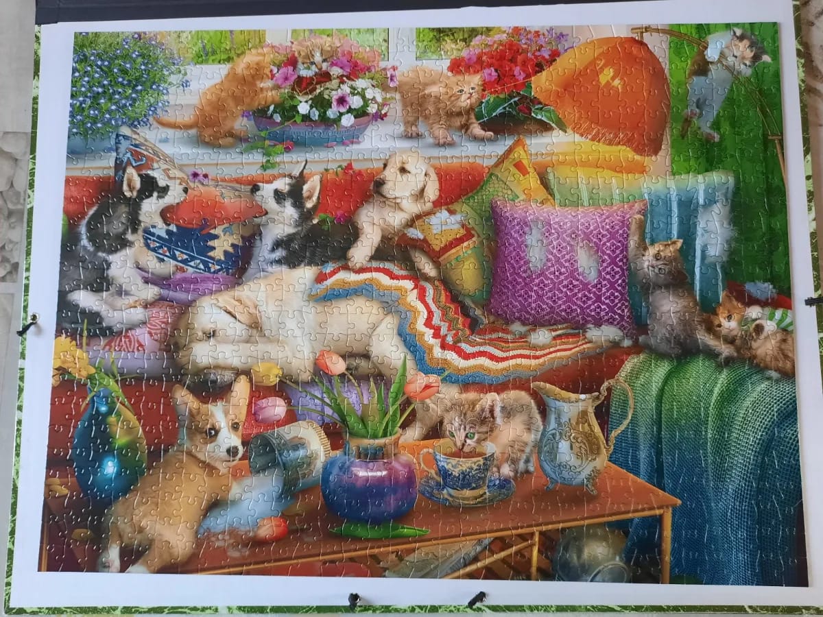 Animaux coquins