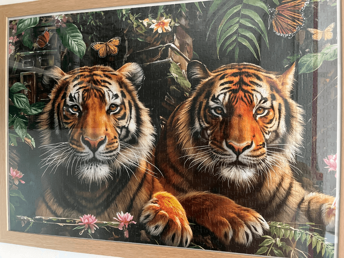 Tigers in the jungle