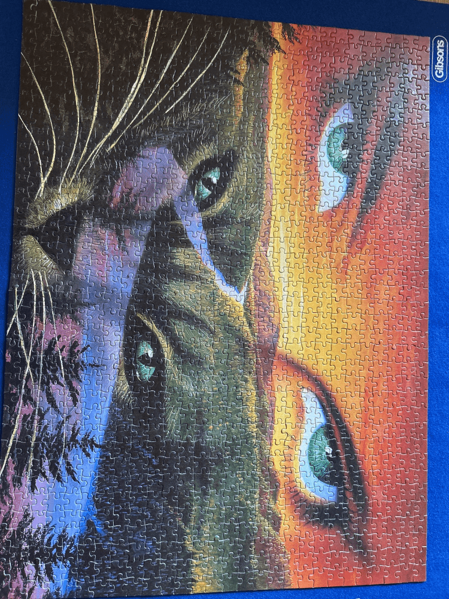 Femme aux deux visages