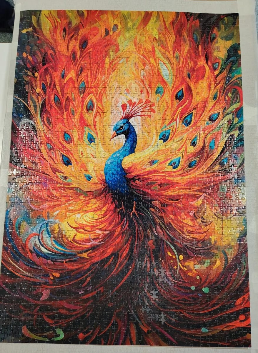 Colorful peacock