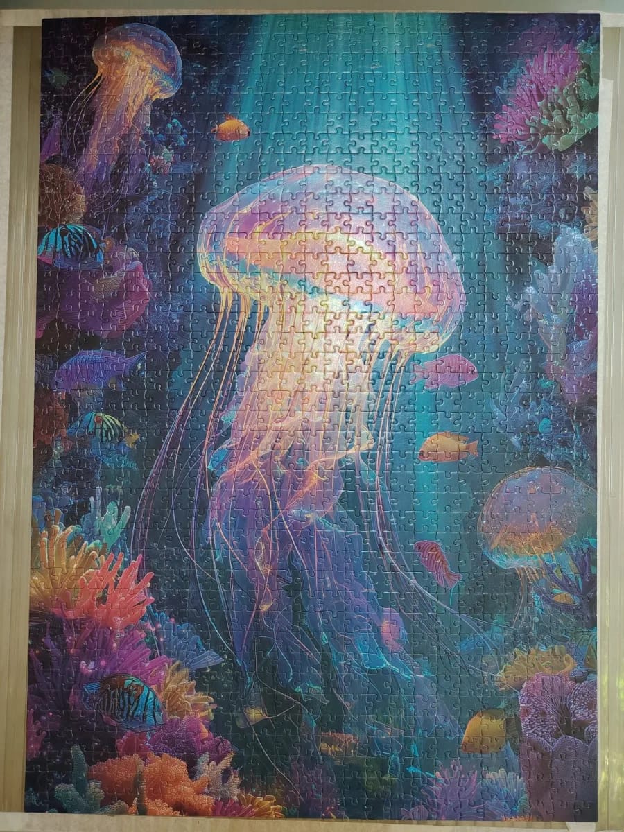 Meduse
